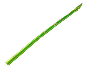 Single Green Asparagus Spear on Black Background
