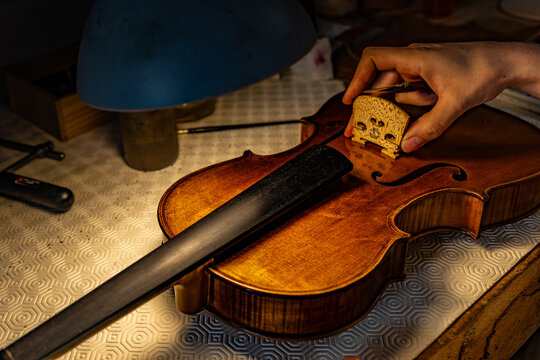 Violin Making Workshop – Luthier at Work