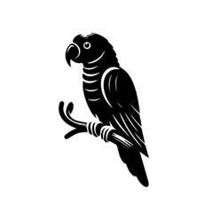 Fototapeta premium Colorful Parrot Vector Illustration