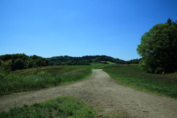 Curved rural trail across summer meadow landscape