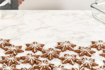 Decorating Snowflake Chocolate Ginger Sugar Cookies with Royal Icing and Sugar Crystals