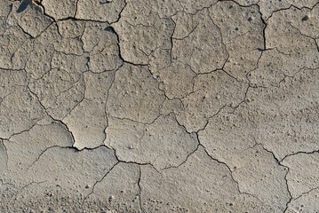 Cracked soil close up due the serious heatwaves in Transylvania , Romania.