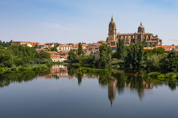 Mussels and crabs appear on the beach when the tide falls in the Cantabrian Sea. Quality seafood. A rock filled with mussels.