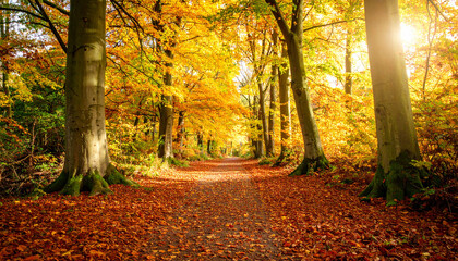 Fototapeta premium Autumn forest path covered in fallen leaves bathed in golden sunlight