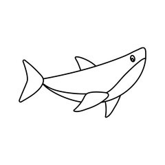 Cute shark vector icon. Cute sea animals illustration sign. sea animals symbol. Sea life logo. shark web icon.