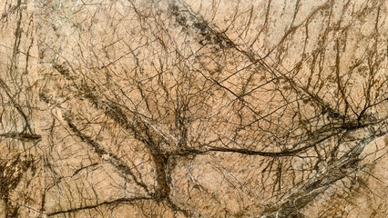 Natural brown marble texture with bold veins and organic stone pattern. Elegant decorative...