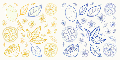 Fototapeta premium Delicate hand drawn lemons and flowers in yellow and blue on a white background