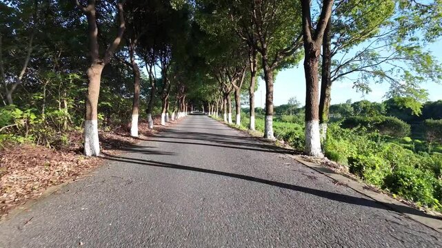 drving through road in countryside,pov