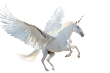 Obraz premium Elegant Pegasus with transparent white background in ultra HD quality