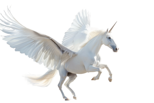 Elegant Pegasus with transparent white background in ultra HD quality