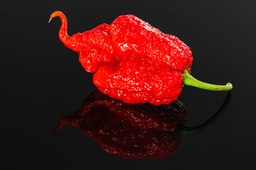 Extremely hot Carolina Reaper pepper - HP22B,  top of the scoville scale
