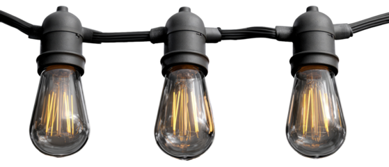 Black string lights with vintage-style bulbs