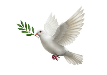 Isolated Flying Dove Carrying Olive Branch Symbolizes Peace and Hope for a Better World