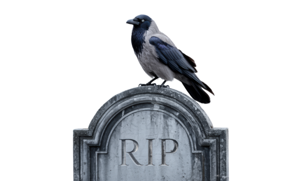 Crow Perched on Tombstone with RIP Inscription - Powered by Adobe