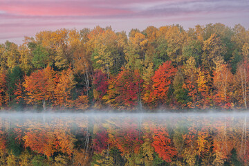 Foggy autumn landscape of the shoreline of Moccasin Lake with mirrored reflections in calm water, Hiawatha National Forest, Michigan's Upper Peninsula, USA