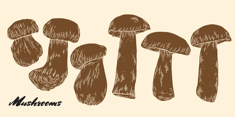 Mushrooms hand drawn ink sketch set. Linocut mushroom collection. Engraving vegetables bundle. Porcini mushrooms hand drawn set. Sketch style blackberries. Vector ink illustration.