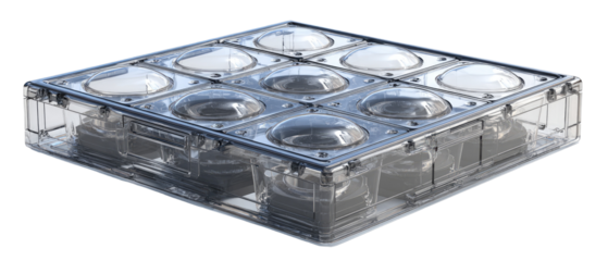 Transparent, square,  enclosed structure with multiple, round, dome-like elements