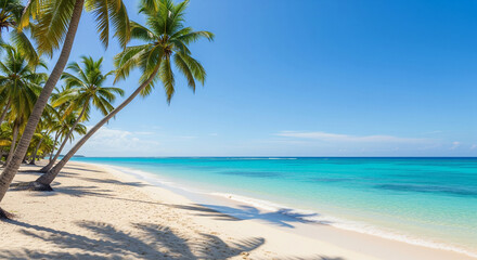 Photo of a tropical beach scene with white sand, turquoise sea, and rows of coconut trees.