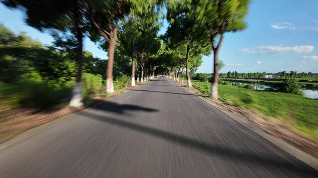 drving through road in countryside,pov