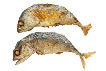 Fried Short Mackerel Isolated on a Transparent Background.
