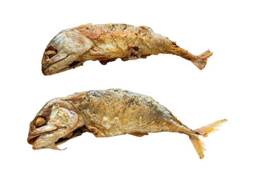 Fried Short Mackerel Isolated on a Transparent Background. Side view shot