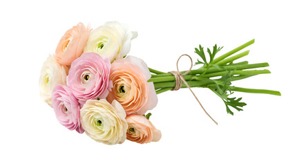Delicate pastel ranunculus bouquet tied with twine evokes springtime romance and natural beauty for invitations or decor isolated on white background