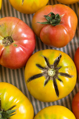Colorful heirloom tomatoes with rich textures sit on striped fabric, showcasing organic garden...