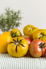 Freshly picked heirloom tomatoes, both red and yellow, are arranged on patterned fabric, radiating rustic elegance and organic freshness. Copy space.