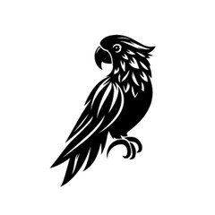 Parrot 19 Vector Illustration – Exotic Colorful Tropical Bird Artwork