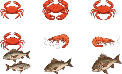 Seafood collection vector illustration, fish, crab, shrimp isolated set, marine food design, editable cartoon, flat style cad drawing.