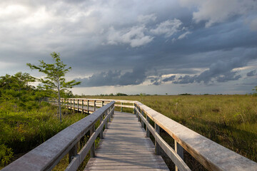 Fototapeta premium wooden bridge over the river