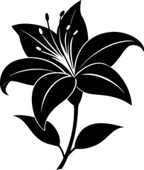 Lily silhouette  vector black , white background 