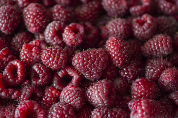freshly picked raspberries from the garden