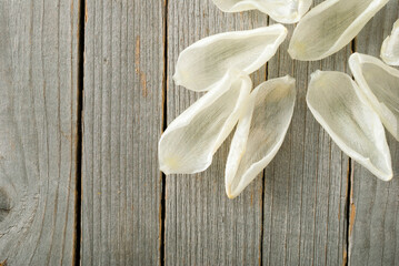 Petals