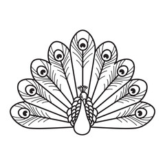 Elegant peacock outline for design, fashion, and luxury branding