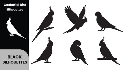 Cockatiel Bird Silhouette