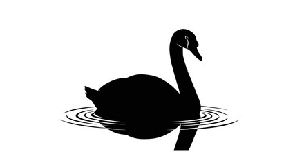Elegant Black Swan Swimming in Water Silhouette.