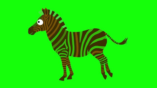 Cartoon zebra with animated stripes shifting colors between pink, purple, and blue, running on a green chroma key background.