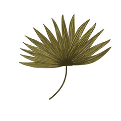 green plant isolated on white