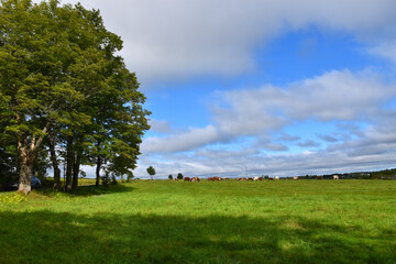 A farm in summer, Québec, Canada