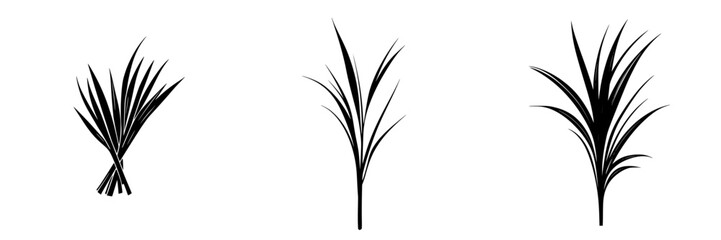 Obraz premium Minimalist black-and-white vector illustration of plant silhouettes representing various types of grass or foliage
