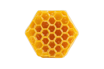 beeswax wrap isolated on white background eco alternative to plastic wrap