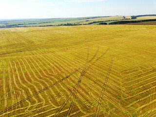 Aerial view landscape with wheat fields and forest on sunny day