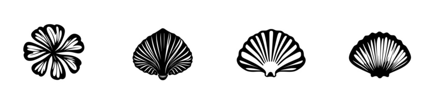 Minimalist black-and-white vector illustration of various shell and flower silhouettes in a simple design