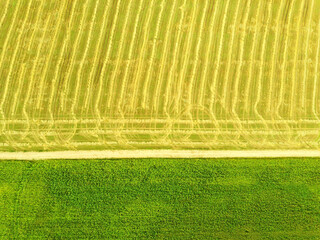 Aerial top view landscape with green and yellow fields with road on sunny day