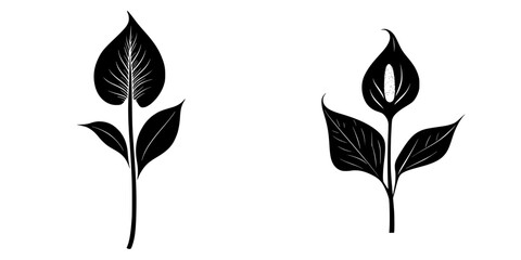 Minimalist black and white vector illustration of two different plant silhouettes on a plain background