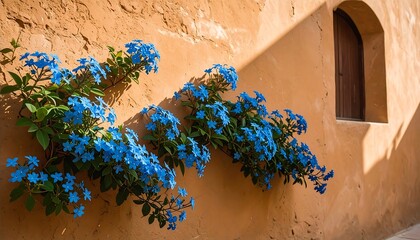 Blue flowers adorn a sun-drenched ochre wall