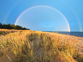 A majestic full double rainbow arches over a tranquil sea, illuminating golden wild grass on a...
