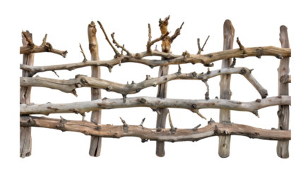 Constructed driftwood fence made from natural branches on a black background.