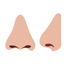 Human nose vector. Human nose side view